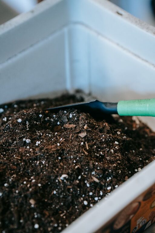 Beginner Tips for Composting at Home: A Simple Guide to Getting Started